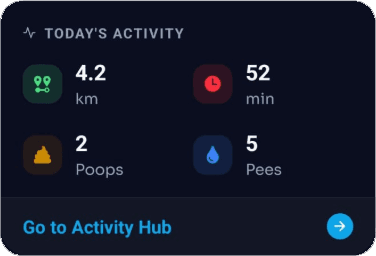 Activity Stats Dashboard